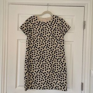 J Crew Polka dot dress